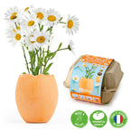Ostereier mit Gänseblümchen