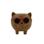 Blumentopf lustige Katzen Trio Set braun, weiß und beige