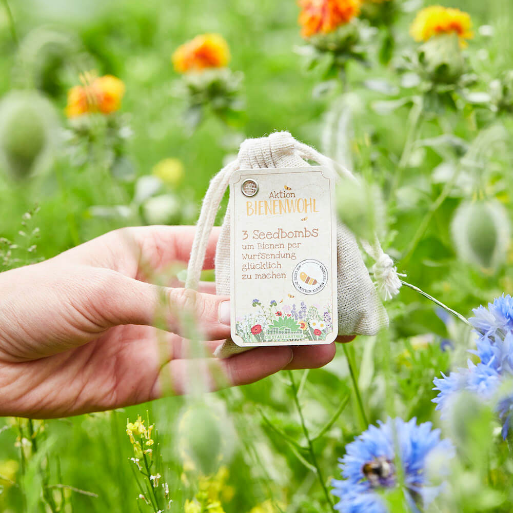 Bienenwohl Seedbombs 3Stk.