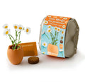 Ostereier mit Gänseblümchen