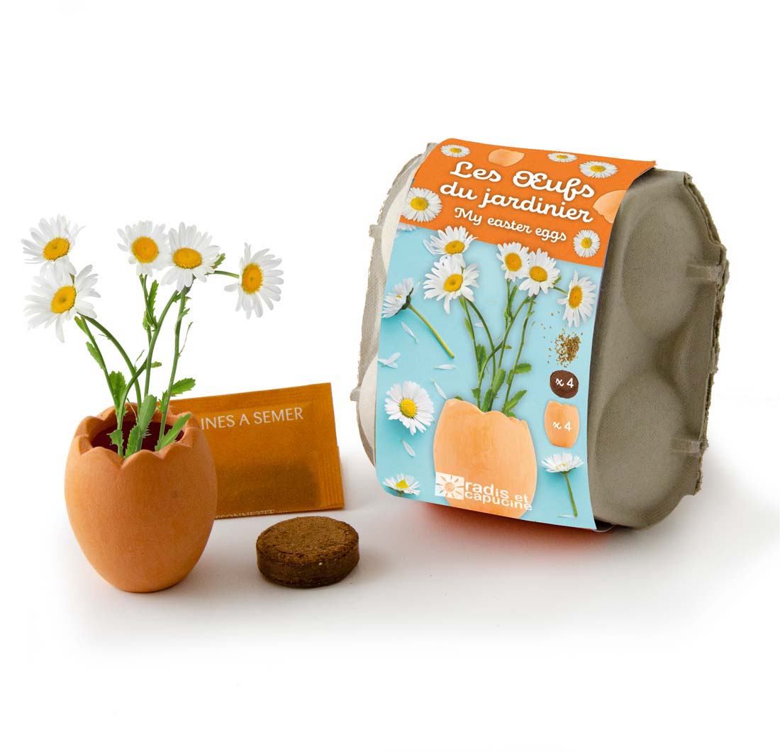 Ostereier mit Gänseblümchen