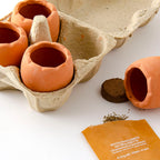 Ostereier mit Gänseblümchen