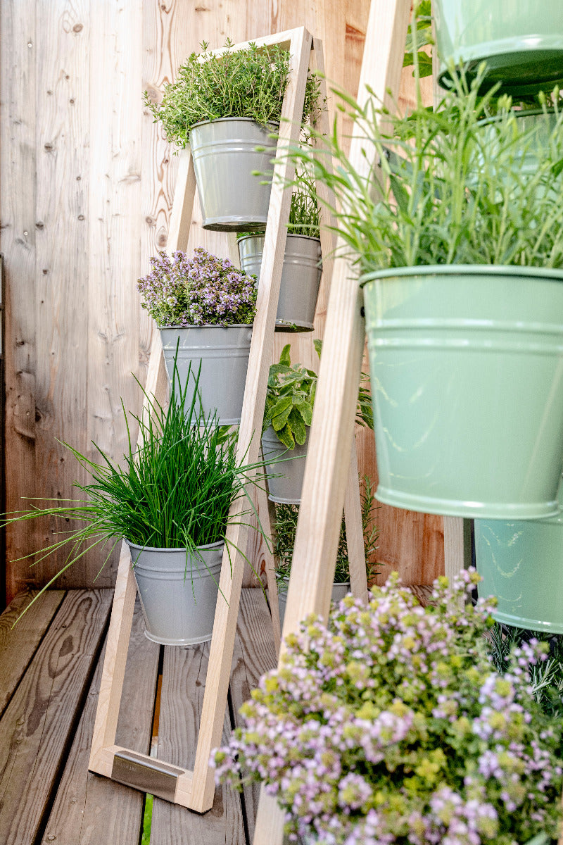 Die Pflanzleiter auf einem Balkon in der Ecke