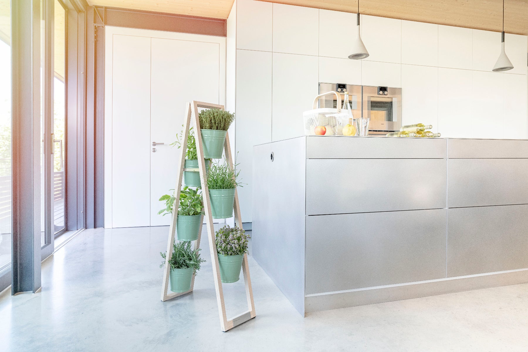 Der Pflanzleiter in der Küche am Fenster