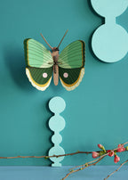 Wanddeko 3D Farngestreifter Schmetterling