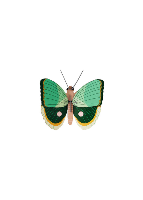 Grüner Farn gestreifter Schmetterling