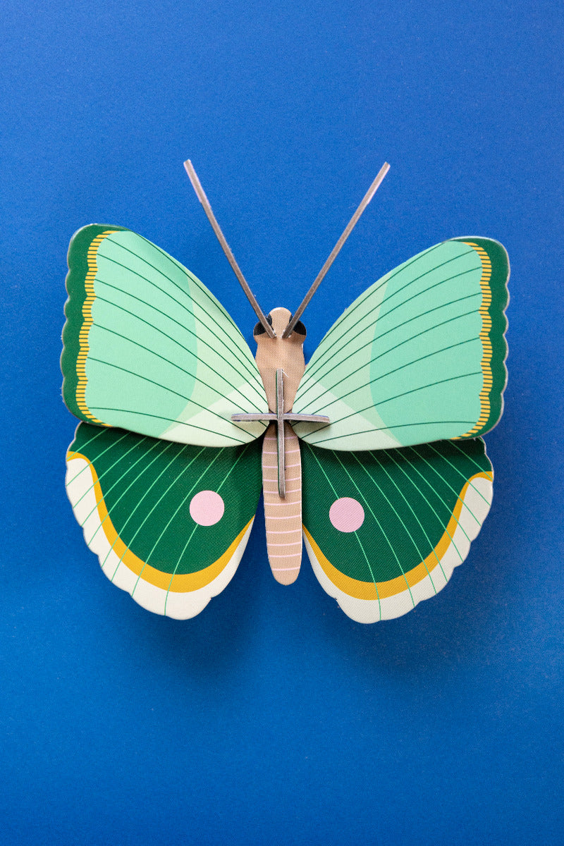 Wanddeko 3D Farngestreifter Schmetterling