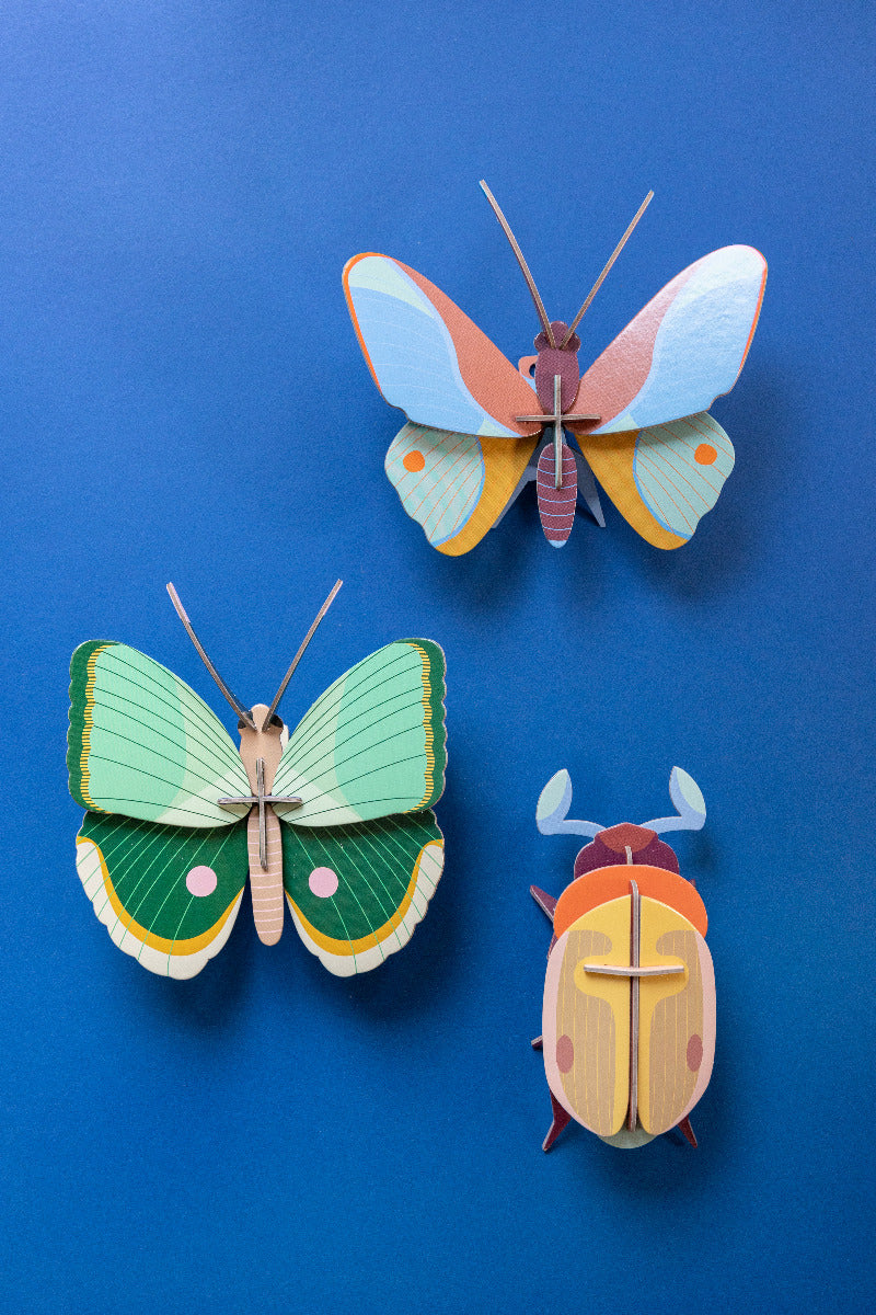 Wanddeko 3D Farngestreifter Schmetterling