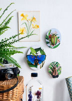 Sammelbox mit Insektenminiaturen Dybdahl vol 2