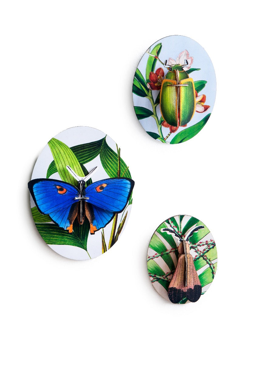 Sammelbox mit Insektenminiaturen Dybdahl vol 2