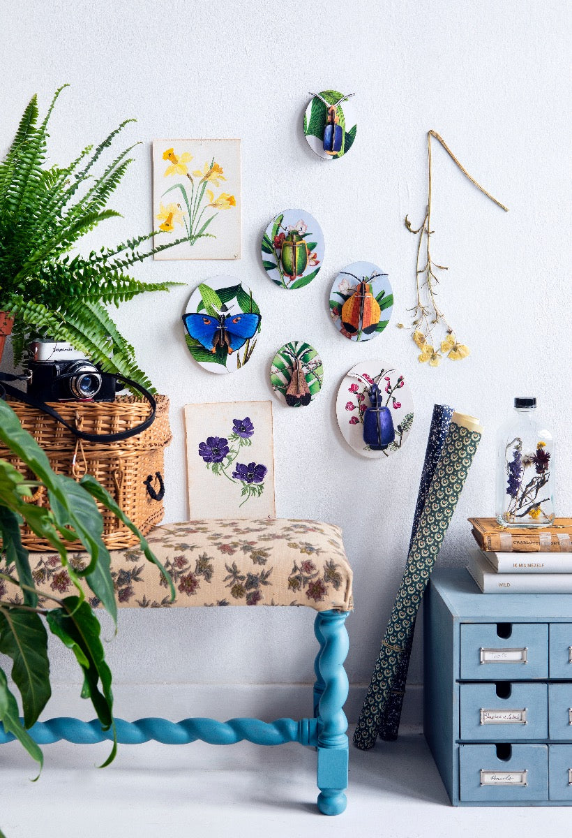 Sammelbox mit Insektenminiaturen Dybdahl vol 2