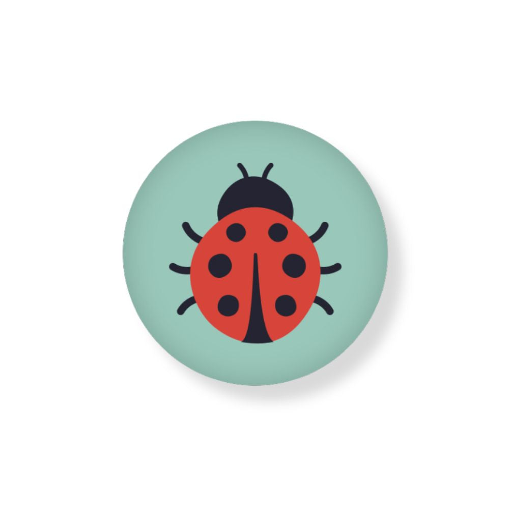 Runder Magnet mit Türkisem Hintergrund und einem Marienkäfer Motiv