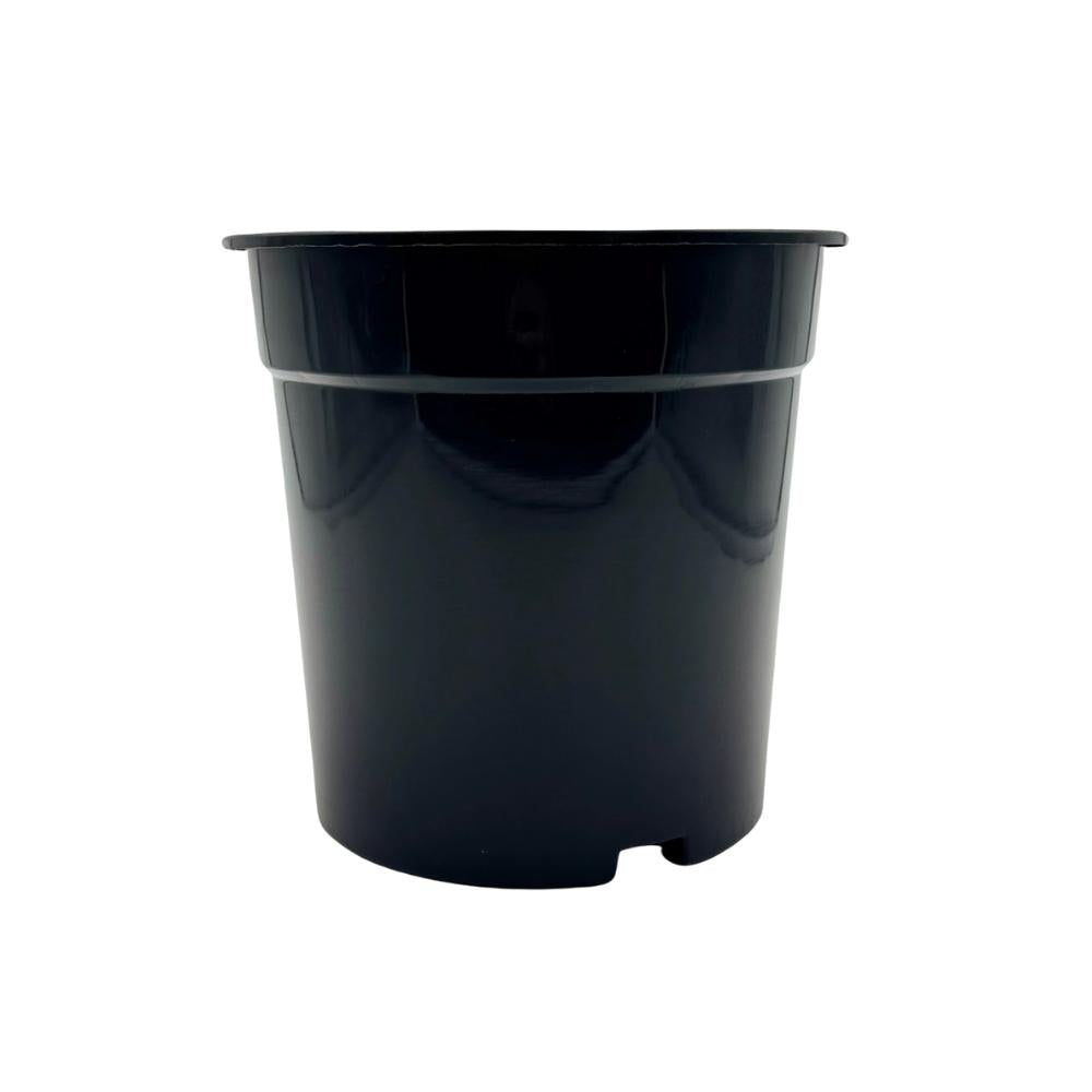 der plastik topf für das innere des lederblumentopfes