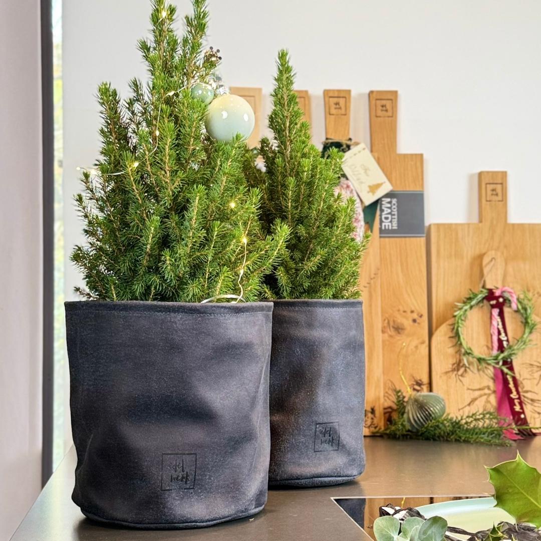 zwei Lederblumentöpfe schwarz schräg hintereinander angeordnet. zwei kleine grüne Tannenbäume eingepflanzt und weihnachtlich geschmückt, weihnachtlich dekorierter Hintergrund