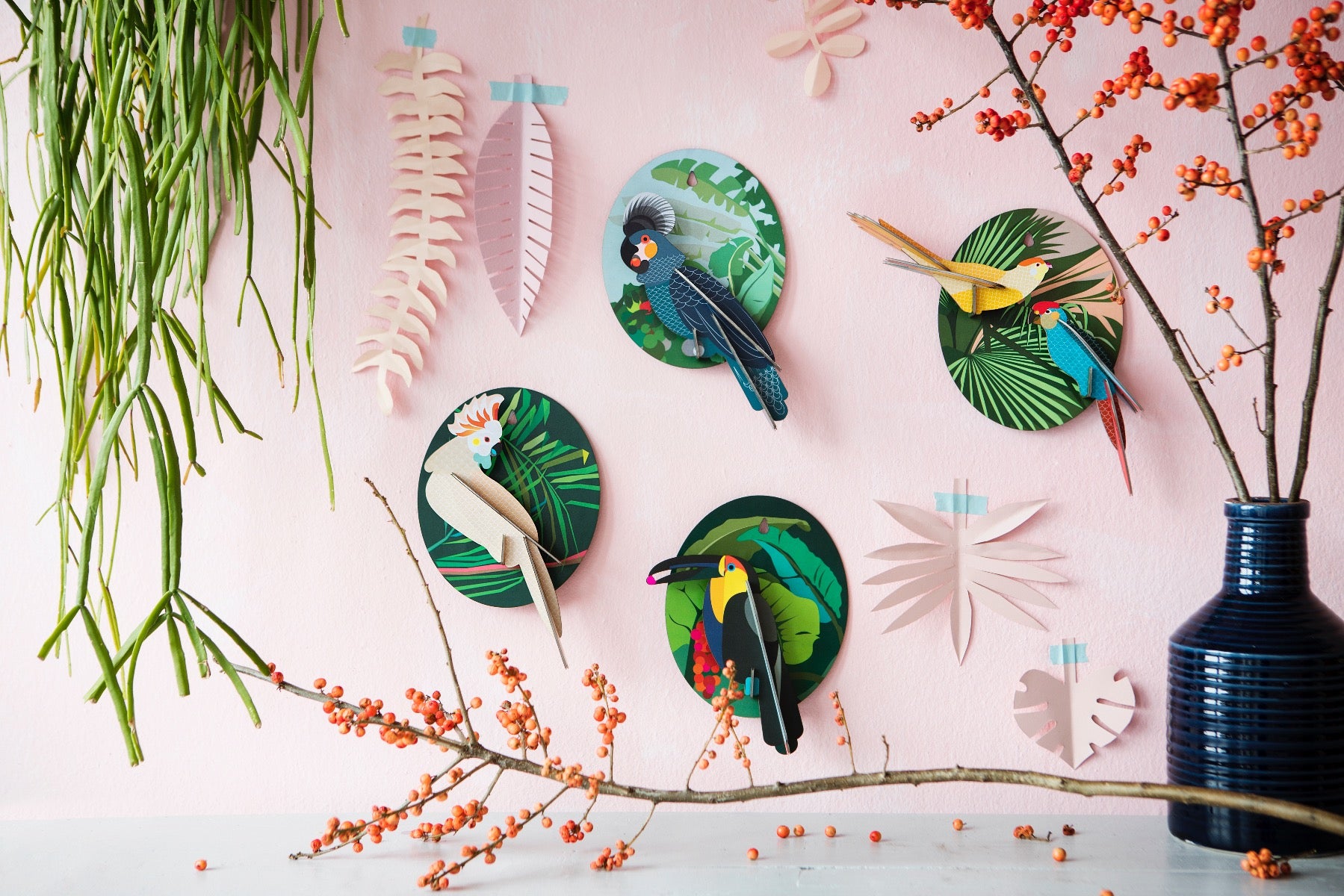 Grey Parrot - Pfiffiger Papagei