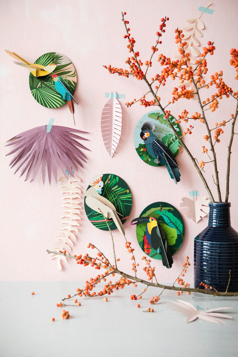 Grey Parrot - Pfiffiger Papagei