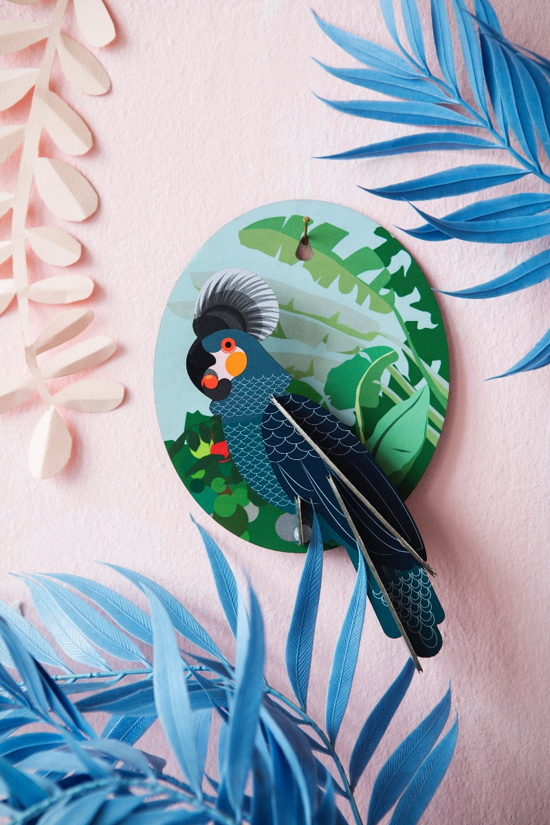 Grey Parrot - Pfiffiger Papagei