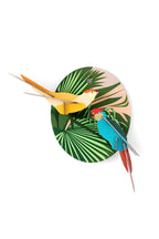 Fröhliche Sittiche, Bird-Parakeets