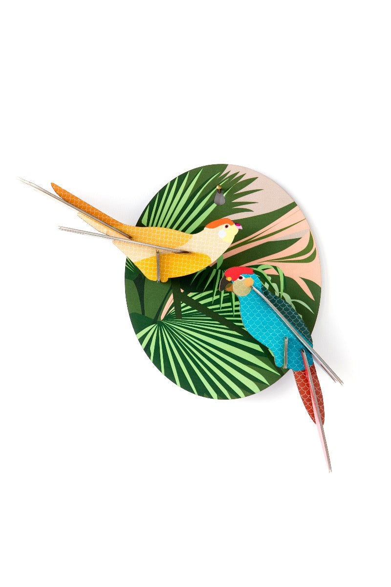 Fröhliche Sittiche, Bird-Parakeets