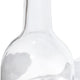 WeinLicht Ersatzglas-Transparent