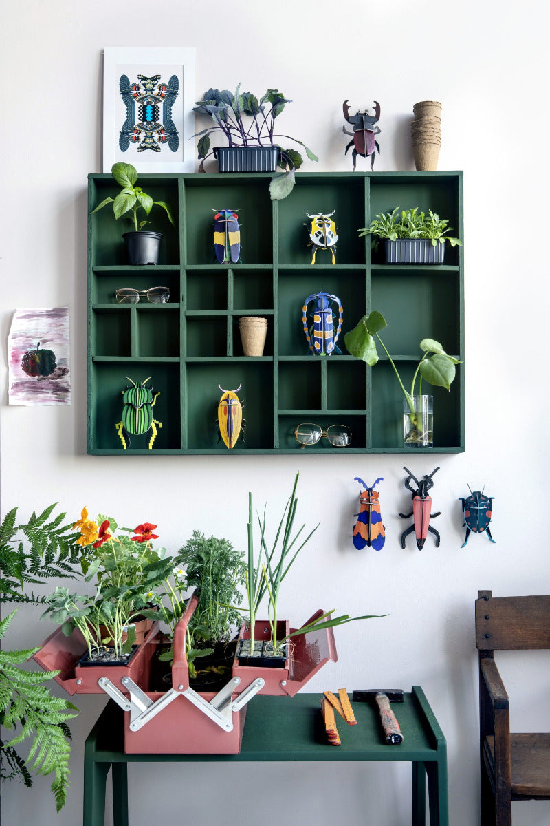 3D Käfer schmücken ein grünes Regal an der Wand