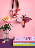 Pink Comet Butterfly