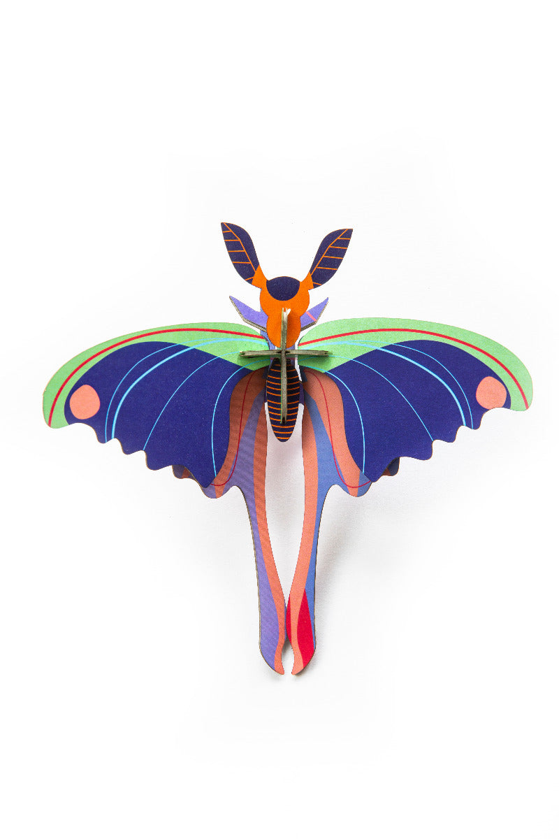 Blue Comet Butterfly