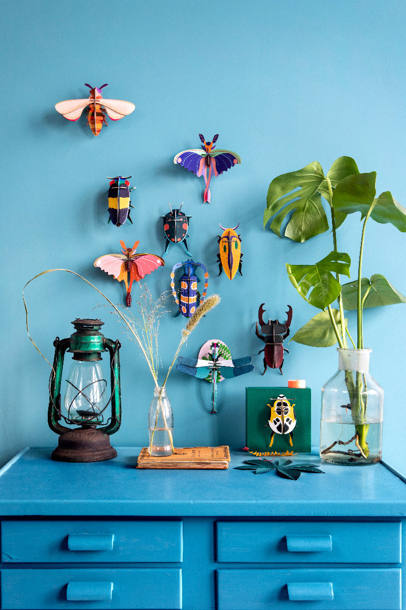 Blue Comet Butterfly