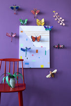 Blue Comet Butterfly