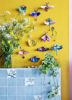 Blue Comet Butterfly