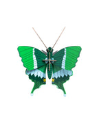 Wandobjekt 3D Jade Butterfly