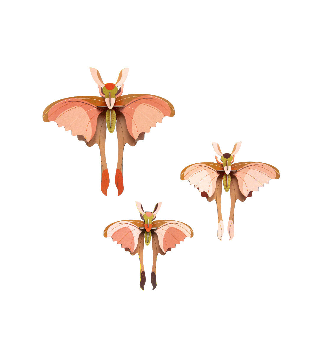 Comet Butterflies, 3er-Set