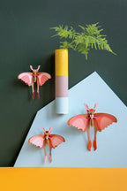 Comet Butterflies, 3er-Set