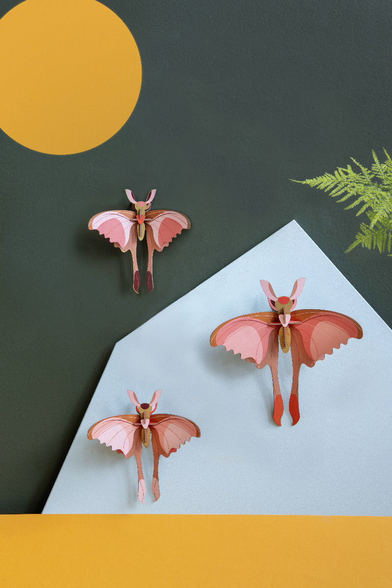 Comet Butterflies, 3er-Set