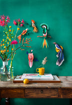 Wandobjekt 3D  Paradiesvogel Flores