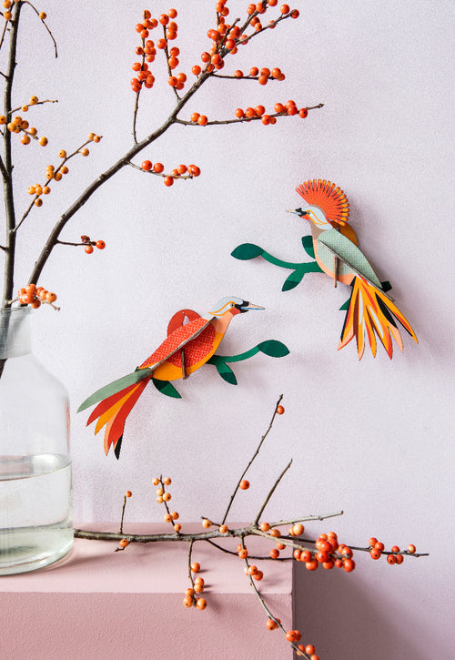 Paradise Bird - Obi