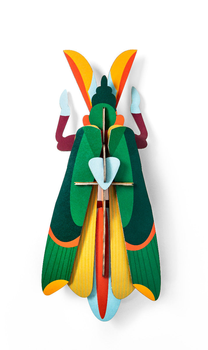 3D Wanddekoration eines farbigen Grashoppers